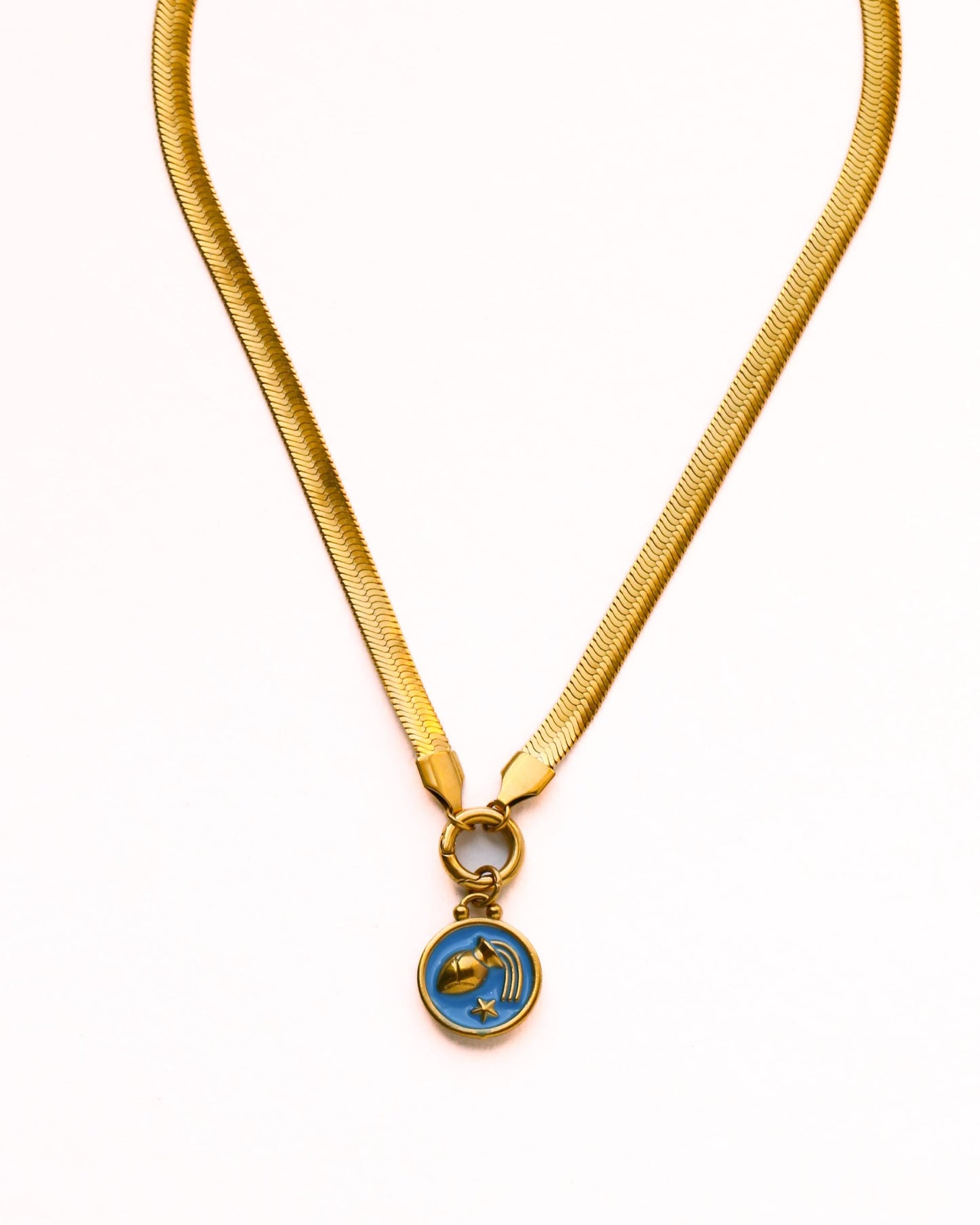 Choose Your Zodiac Necklace on Herringbone Chain